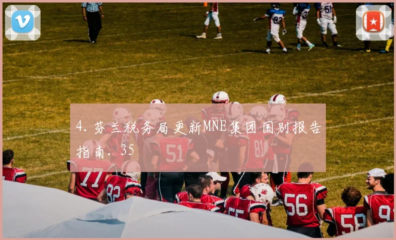 4.芬兰税务局更新MNE集团国别报告指南. 35