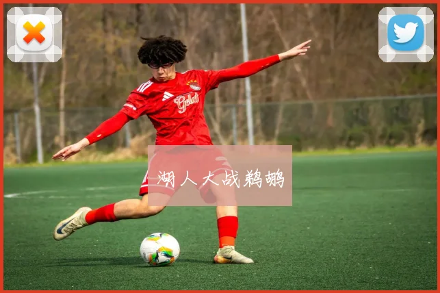 湖人大战鹈鹕