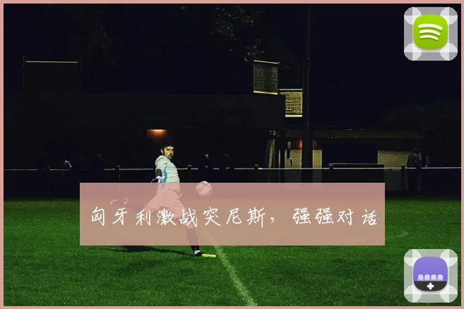 匈牙利激战突尼斯，强强对话