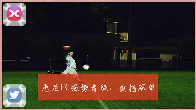 悉尼FC强势晋级，剑指冠军
