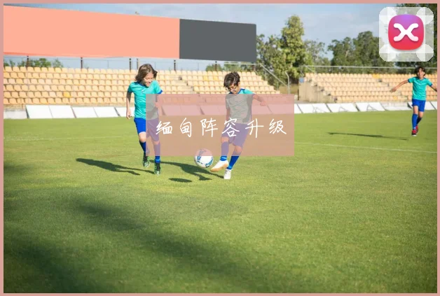 缅甸阵容升级