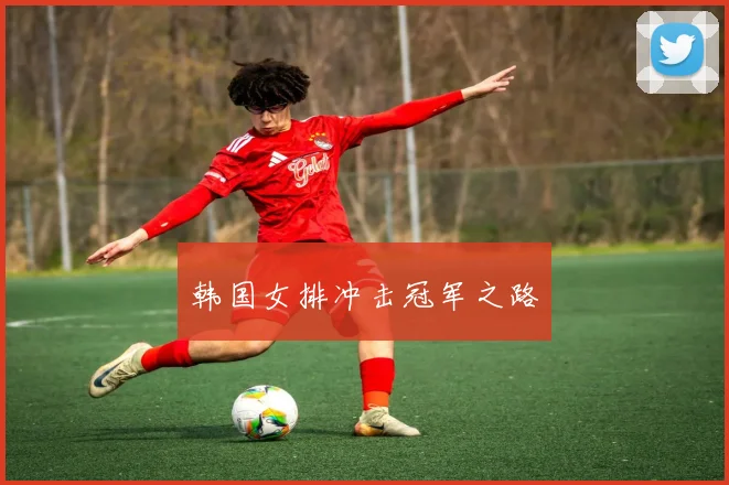 韩国女排冲击冠军之路