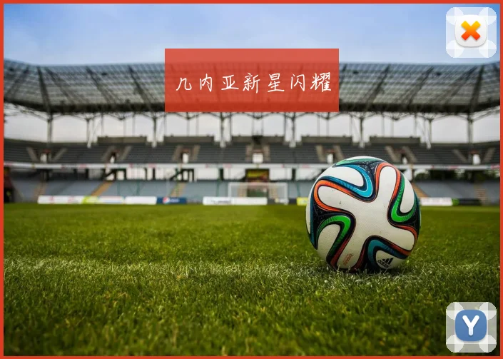 几内亚新星闪耀