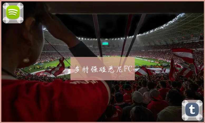 多特强碰悉尼FC
