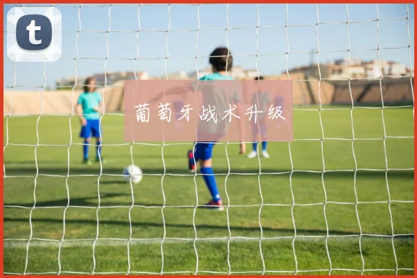 葡萄牙战术升级