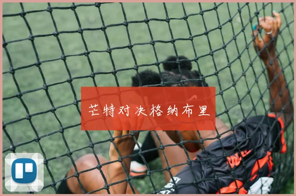 芒特对决格纳布里