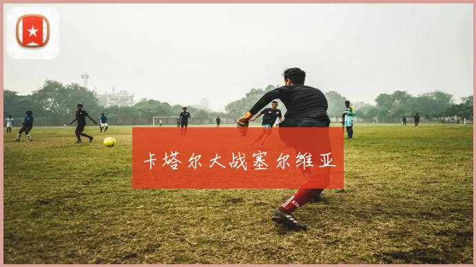 卡塔尔大战塞尔维亚