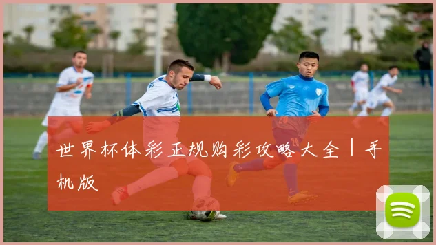 世界杯体彩正规购彩攻略大全｜手机版