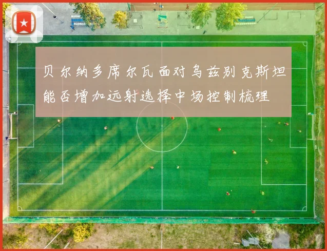 贝尔纳多席尔瓦面对乌兹别克斯坦能否增加远射选择中场控制梳理