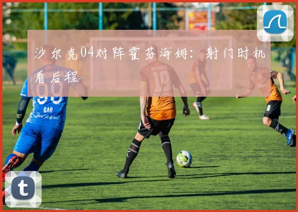 沙尔克04对阵霍芬海姆:射门时机看后程
