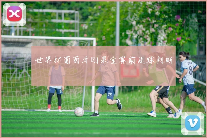 世界杯葡萄牙刚果金赛前进球判断