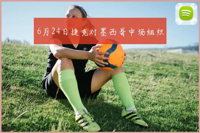 6月24日捷克对墨西哥中场组织