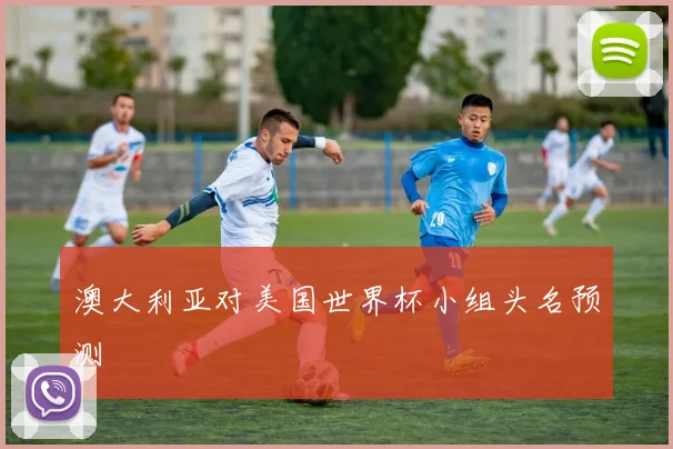 澳大利亚对美国世界杯小组头名预测