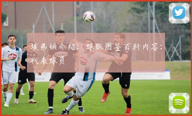 埃弗顿介绍：球队图鉴百科内容：代表球员