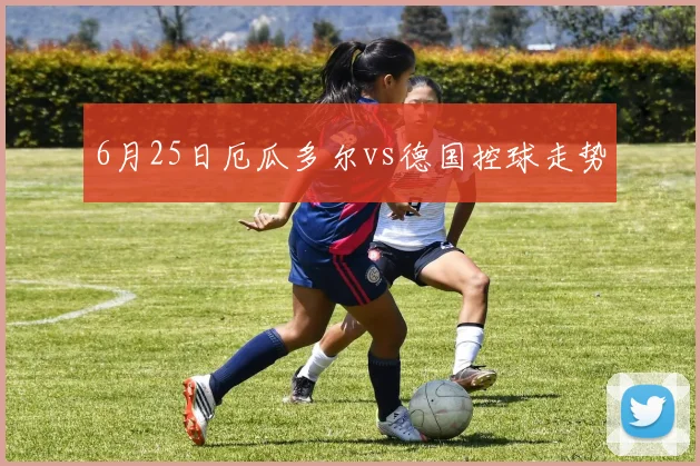 6月25日厄瓜多尔vs德国控球走势