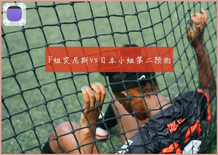 F组突尼斯vs日本小组第二预测
